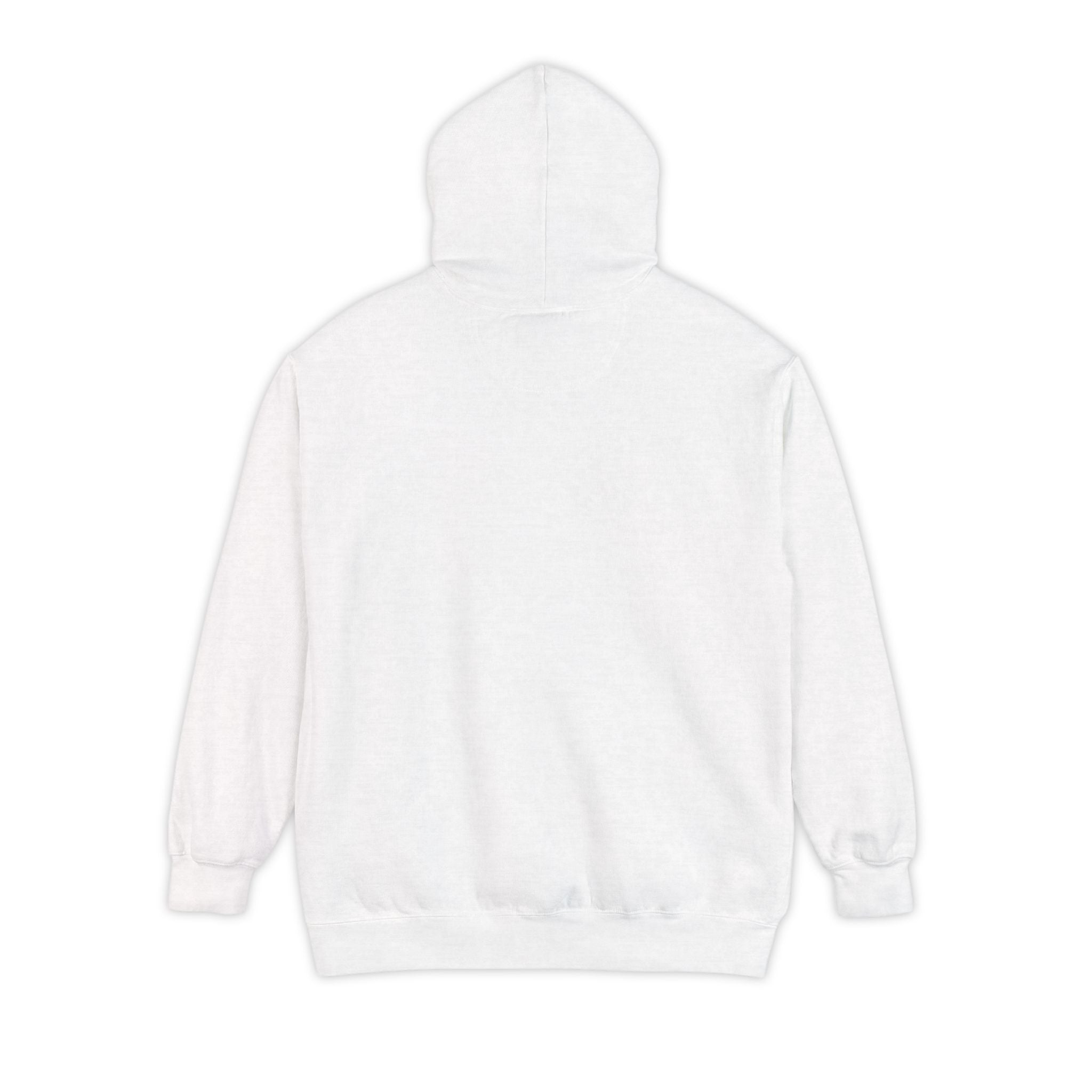 Minimalist 'Run Along NPC' Hoodie — Casual Gamer Streetwear